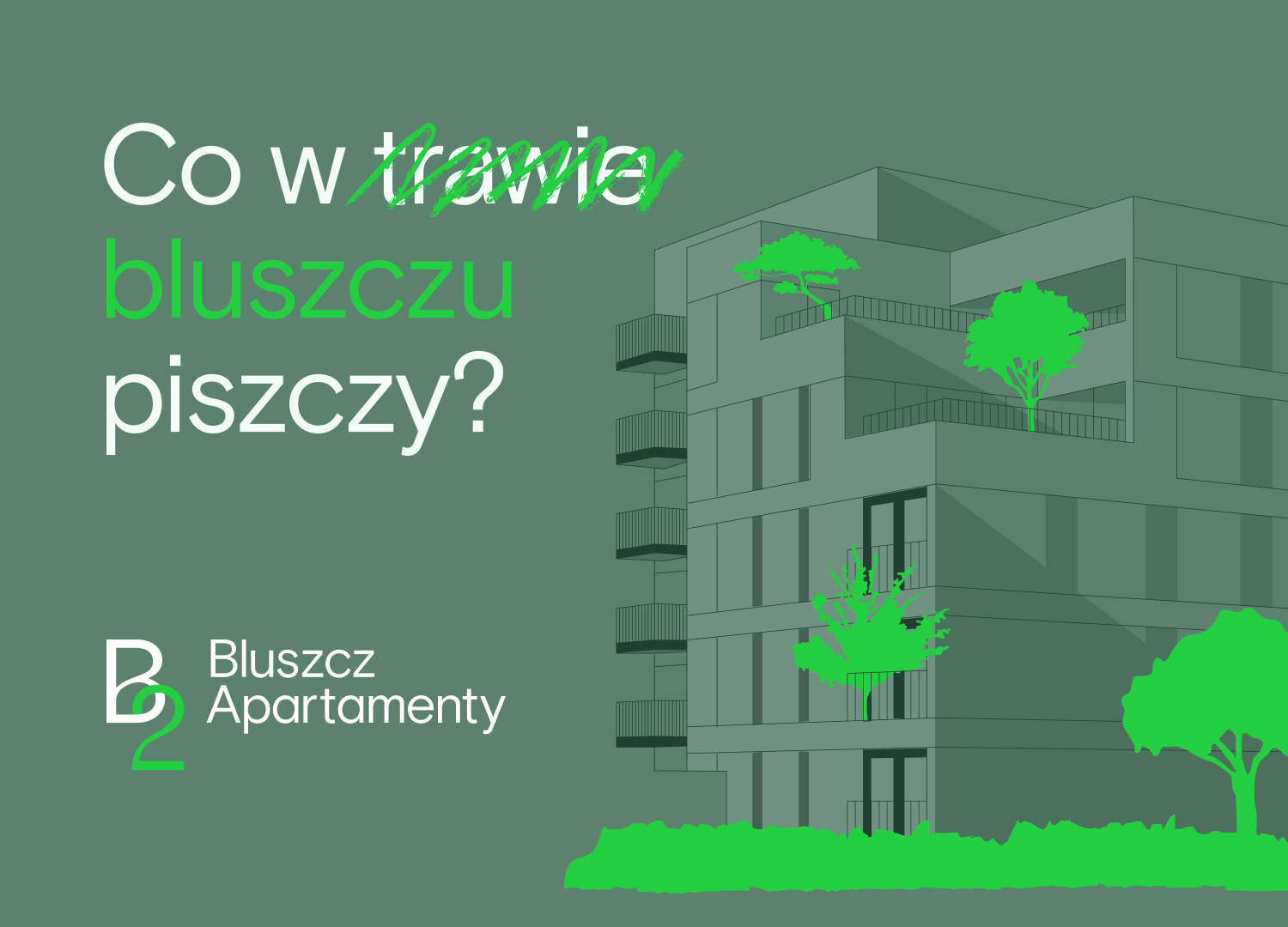 Bluszcz etap 2